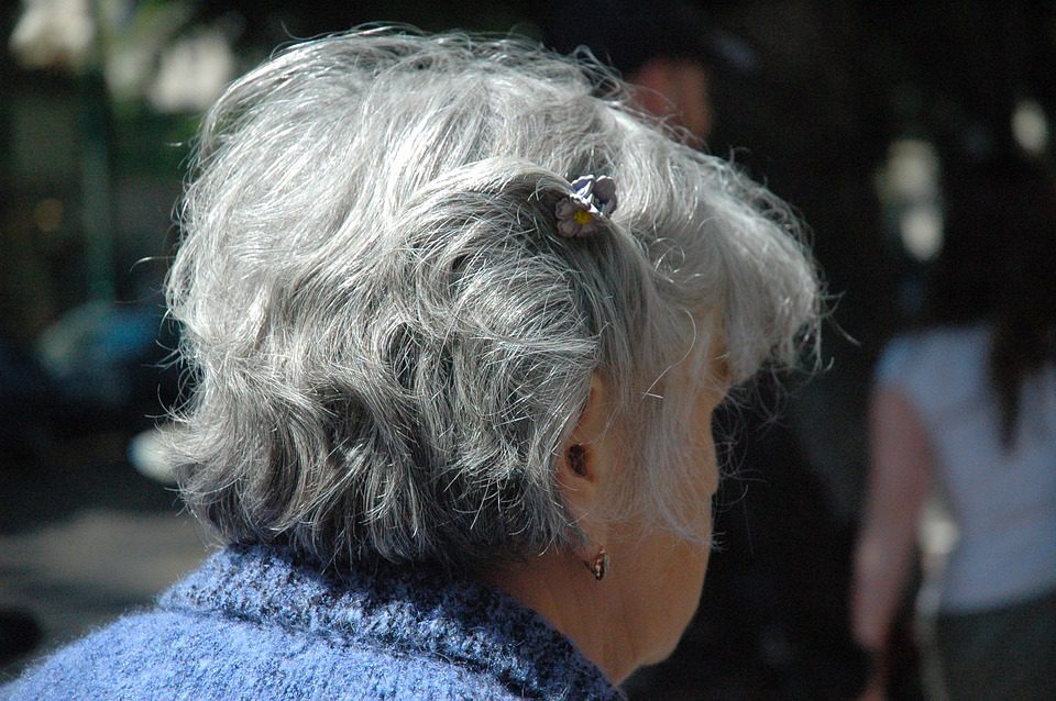 Back of an elderly woman's head, showing her grey hair.