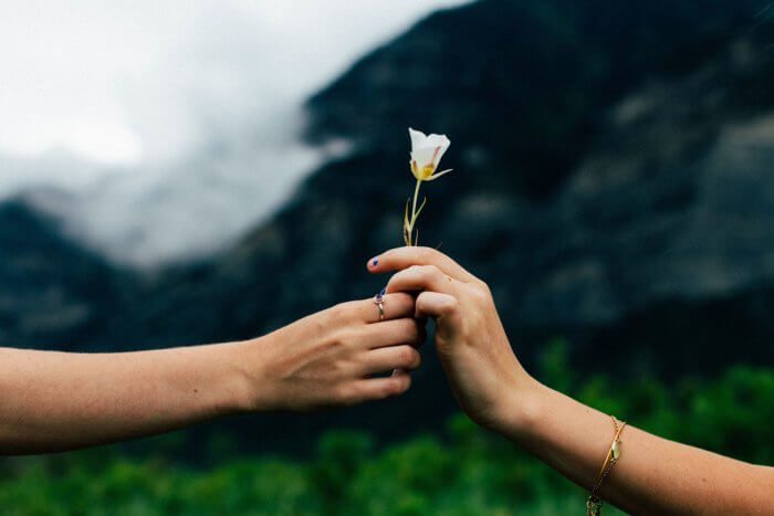 Two hands holding a white flower on a mountainous backdrop