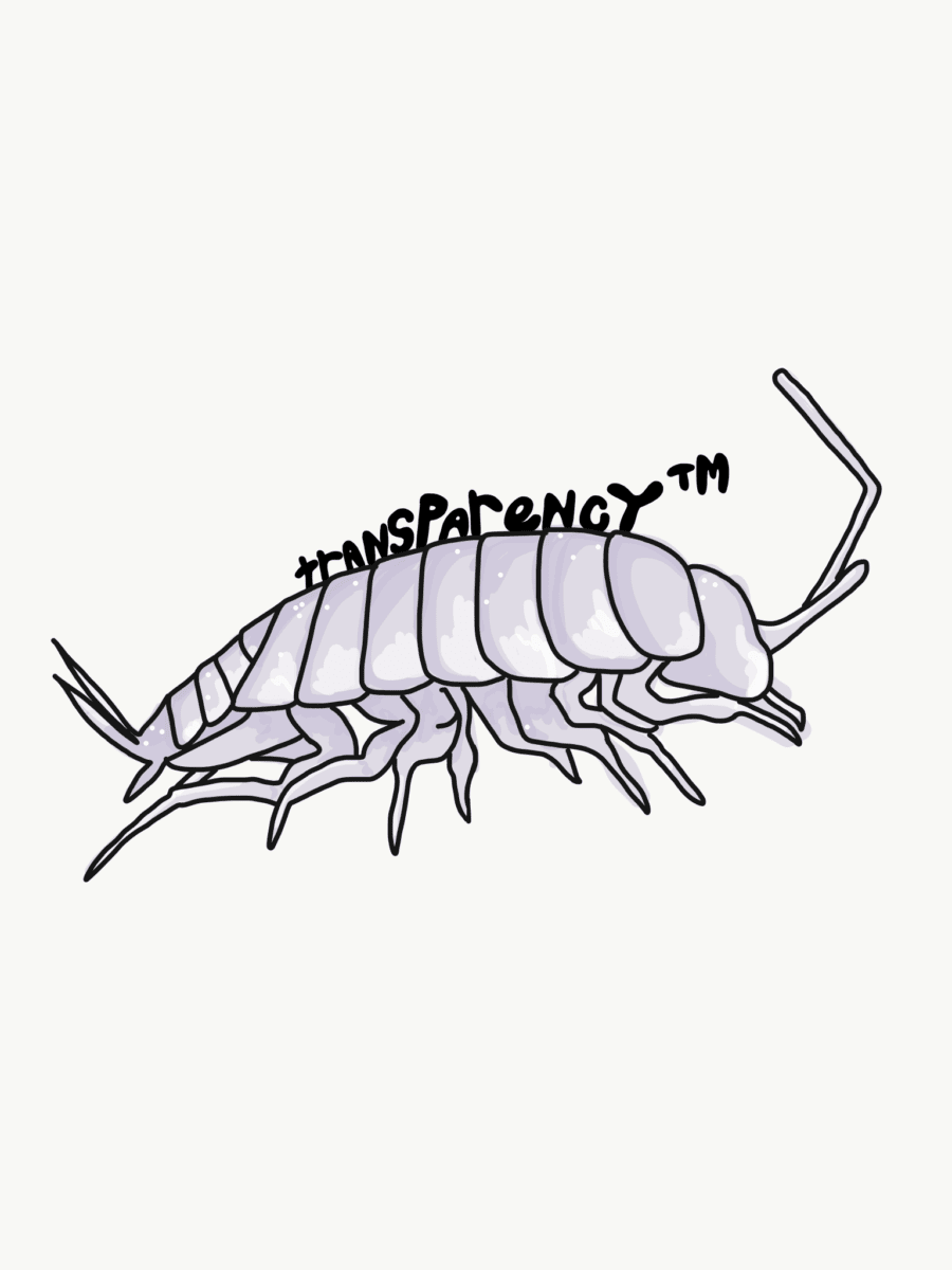 Drawn image of translucent bug.