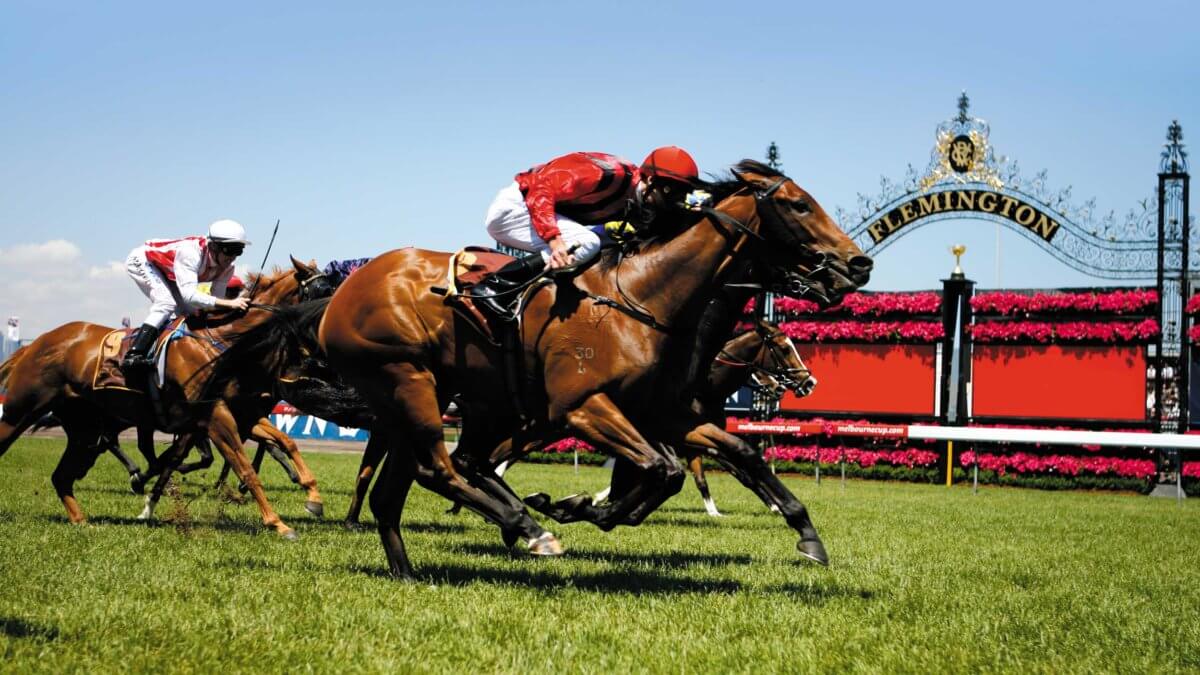 jockeys racing horses on a green field during the day, at the Melbourne Cup
