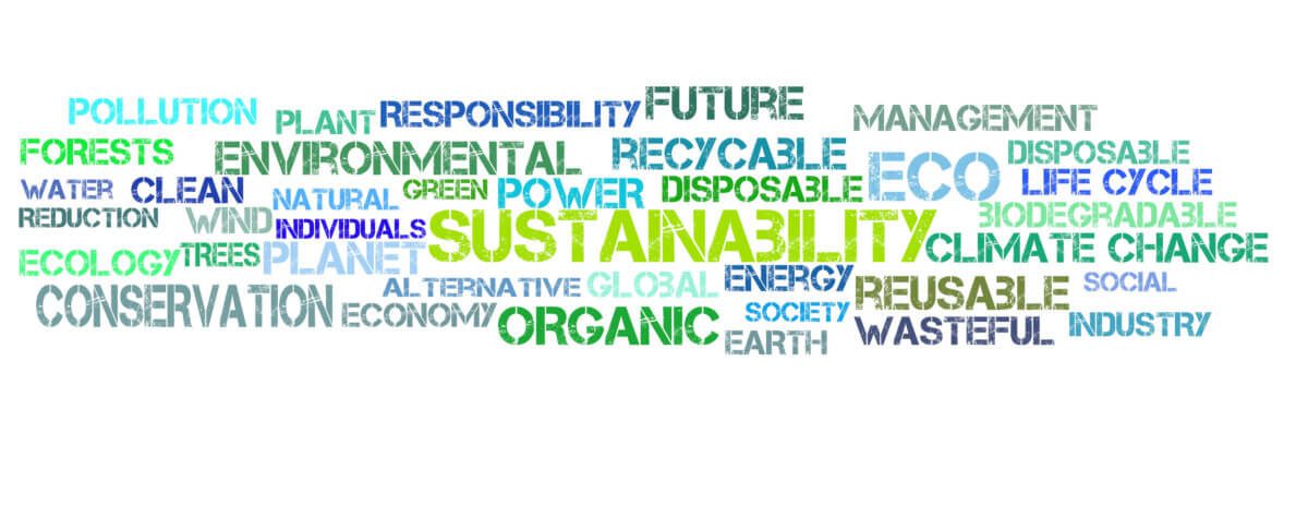 A word cloud with 'Sustainability' at teh centre, and smaller words including 'eco', 'organic', 'future', 'responsibility', 'society', 'reusab;e' and 'conservation'.