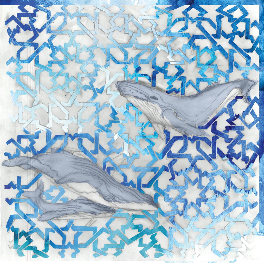 Whales floating in the clouds