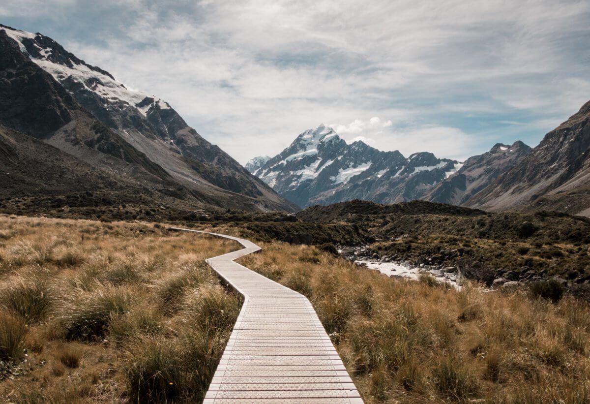 An image of a boardwalk in the middle of nowhere.