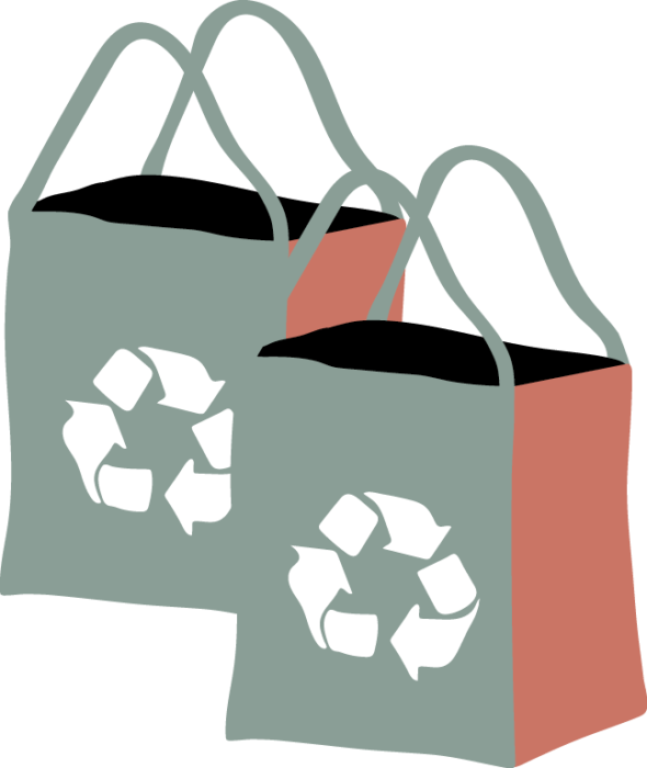 Reusable shopping bags