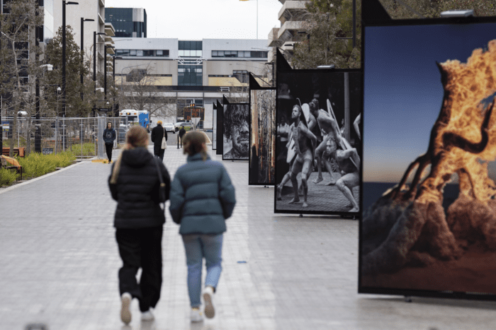 A photograph of University Avenue and the 6 cubes that make up the art exhibition