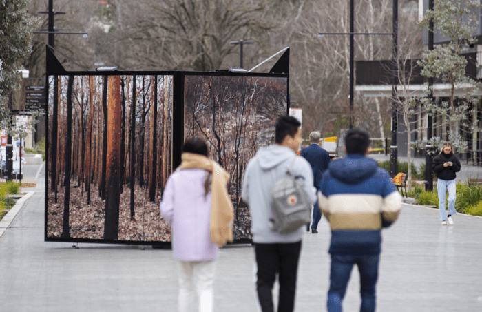 A photograph of Sarah Duckers work in its large cube for the exhibition 'Where I Stand'