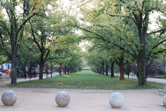 University avenue, campus, ANU